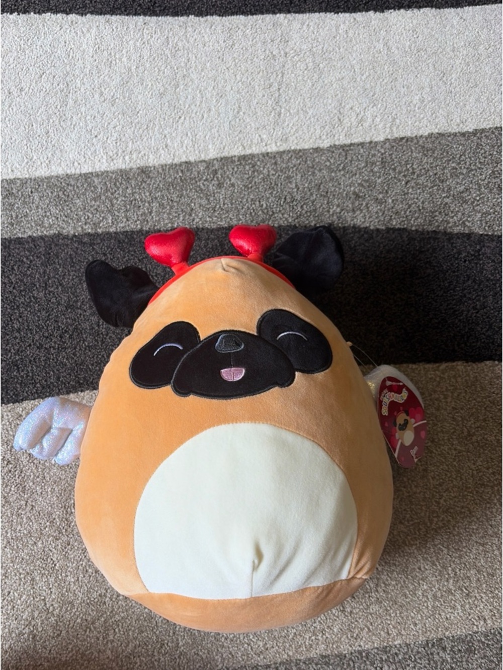 Squishmallows Pam The Pug 12" Brown Plush Dog 2024